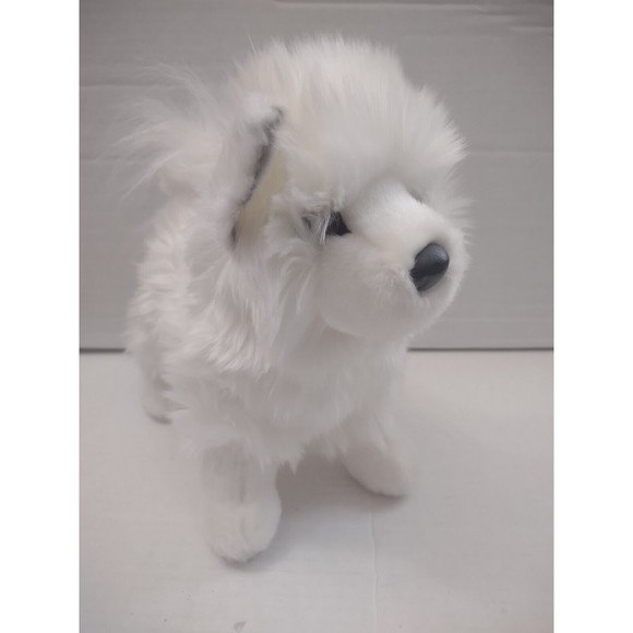 Other - Douglas Realistic Pomeranian Plush Phoebe White Pomsky Dog Stuffed Animal 9”